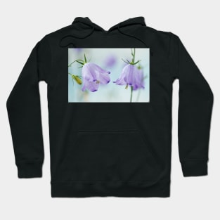 Campanula rotundifolia  Common harebell Hoodie